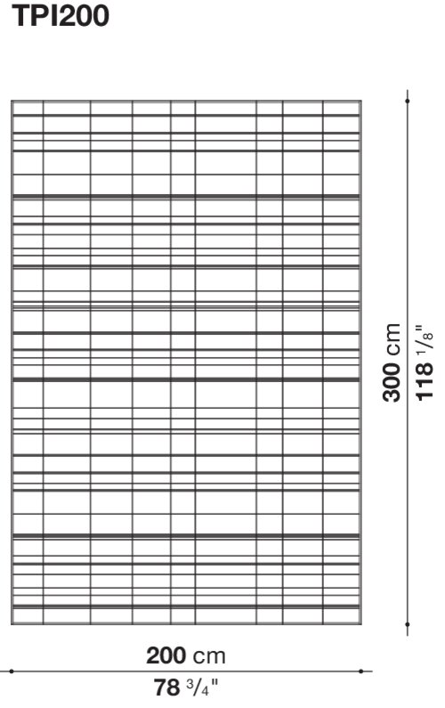Размер TPI200