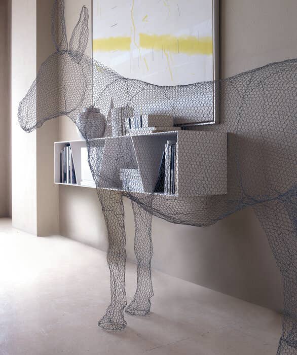 Shelf