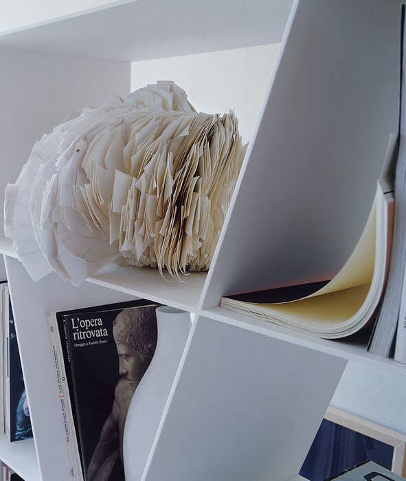 Shelf X