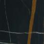 Glossy Sahara noir marble